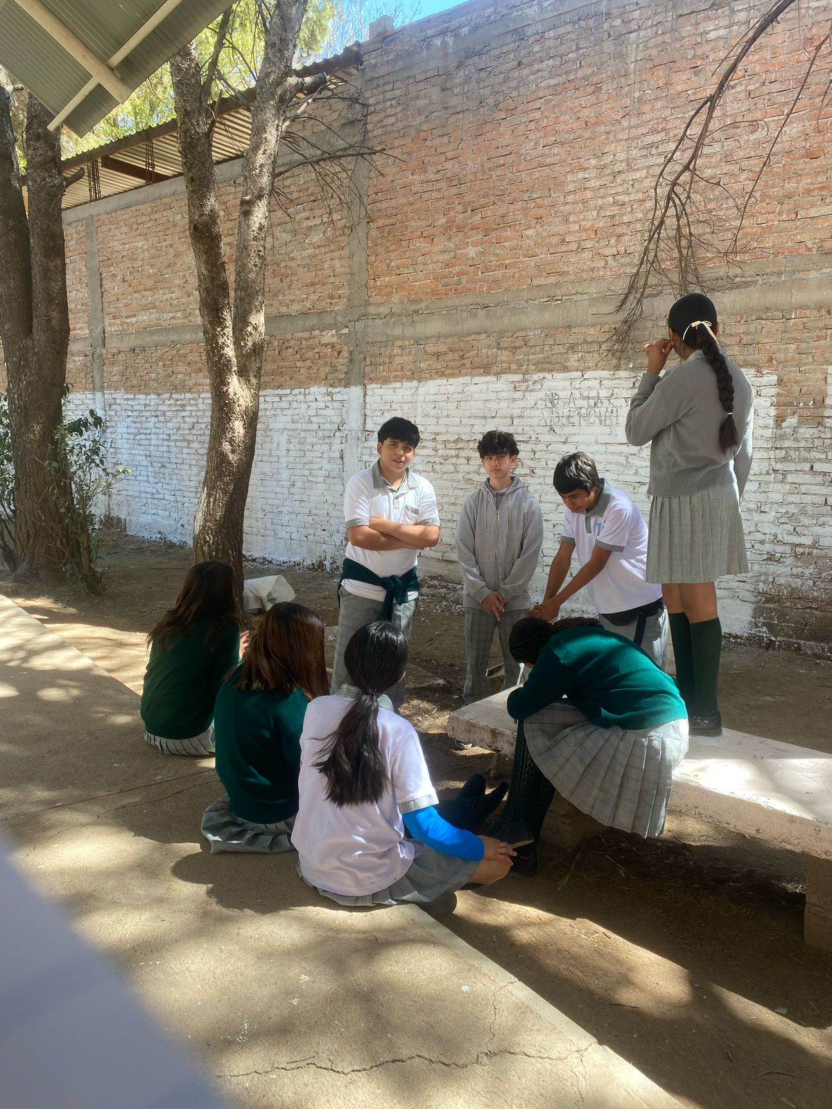 Proyecto Domus Jovenes