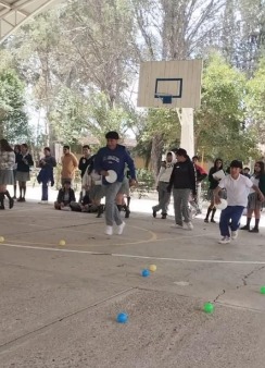 PROYECTO DOMUS: JOVENES