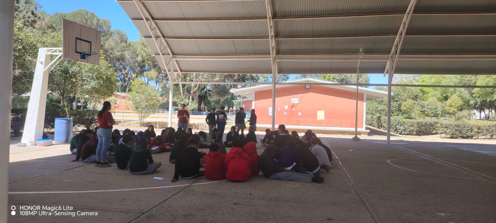 PROYECTO DOMUS: JOVENES